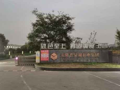 和縣經濟開發區巢寧路東側99號資產一批