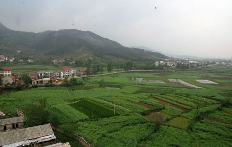 博望區新市鎮釜山村坑塘復墾土地承包經營權拍賣公告