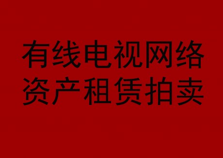 博望區有線電視網絡資產租賃拍賣公告